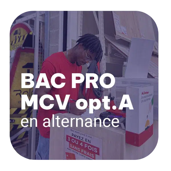 EPINGLE-DIPLOME-BACPRO-JERRY-3