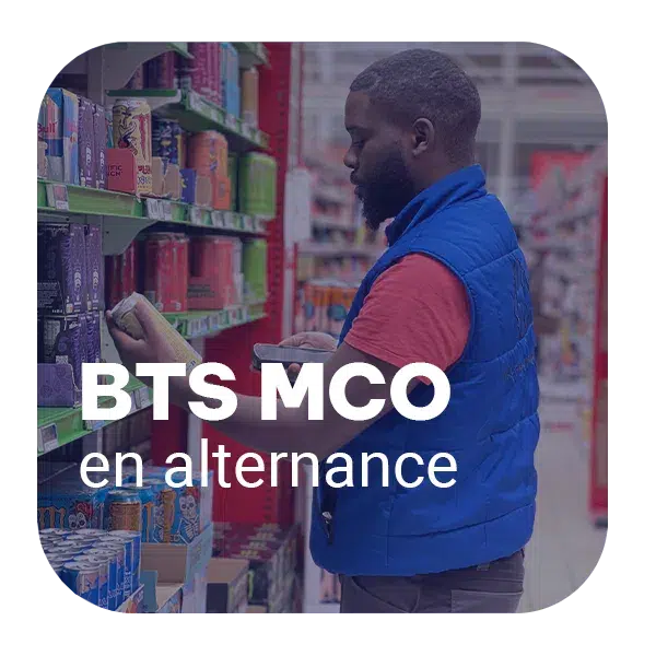 EPINGLE-DIPLOME-BTSMCO-LOUIS-2